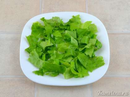 Салатные листья порезать или порвать руками, выложить на тарелку.