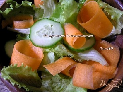 В салатники выложить листья салата, посолить, поперчить, добавить огурец и морковь.