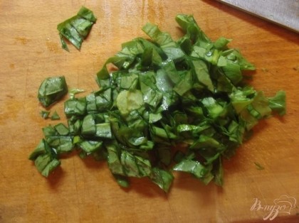 Щавель вымойте и мелко порубите ножом. Не нарезайте его мелко, чтобы салат не был слишком кислым.