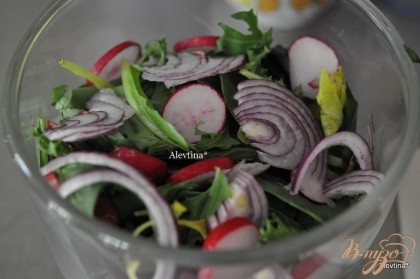 Салатную смесь выложить в емкость, порезать помидоры шерри на пополам, сельдерей, красный лук,редис.