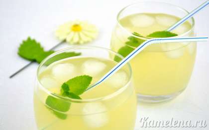 Мятный лимонад хорошо подавать с маленькой веточкой мяты и кубиками льда (особенно в летнее время).