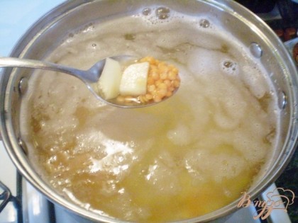 В кипящую воду закладываем картофель и чечевицу. Все предварительно вымыть. Посолить. Варить до готовности обоих продуктов. Красная чечевица в отличии от зеленой очень быстро вариться.