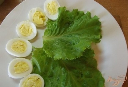 Выложите яйца красиво на порционное блюдо полукругом рядом с листьями салата и обязательно сверху их присолите. Можно полить их немного майонезом.