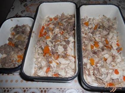 Затем мясо и морковь мелко нарезаем и раскладываем по лоточкам (формочкам, тарелкам).