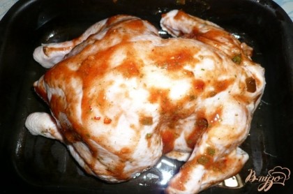 Затем выкладываем курицу грудкой вниз на поддон или сковороду, пригодные для духовки. Если поддон без антипригарного покрытия, то его предварительно смазываем растительным маслом.