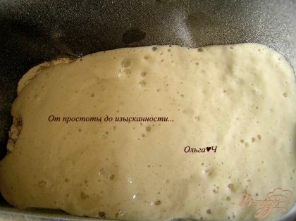 Налить опару. Включить хлебопечку, выбрать программу "Белый хлеб", вес 1500 г и светлый цвет корочки. Нажать кнопку "Старт" и ожидать приятного аромата свежего хлеба примерно через 3,5 часа :)