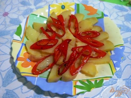 Сладкий болгарский перец обжариваем с двух сторон на разогретой сковороде с небольшим количеством подсолнечного масла. Затем обжаренный перец выкладываем на картофель.