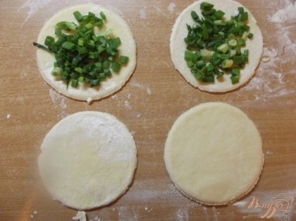 Зеленый лук нарежьте мелкими кружочками, как на салат, и вложите на половину лепешек немного не доходя до краев, как бы горкой.