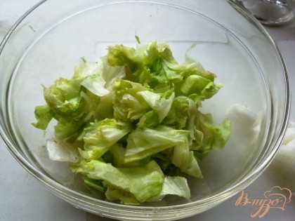 Рвем салатные листья в салатник