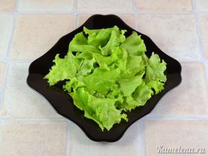 Салатные листья крупно порвать, положить на тарелку.
