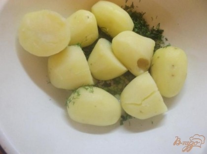 Картофель отварите до готовности. Зеленый лук и укроп порубите мелко.