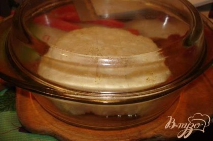 В стеклянную (керамическую, чугунную кастрюлю с крышкой ) выложите хлеб. Кастрюлю саму предварительно смазать растительным маслом. Накройте крышкой и поставьте в разогретую духовку.