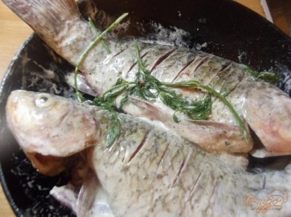 Утварь для выпекания смажьте небольшим количеством растительного масла и положите карася. Оставшуюся в миске сметану со специями влейте во внутрь рыбы. Выпекайте рыбу не менее 35 минут, чтобы она хорошенько пропеклась.