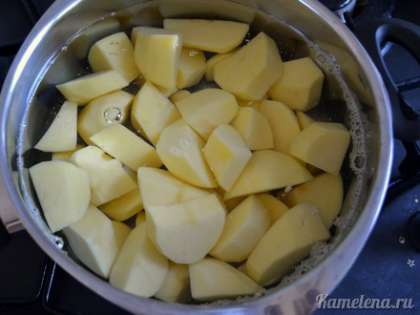 Готовим начинку. Картофель почистить, порезать произвольными кусочками, очень немного посолить (так как далее будет добавлена соленая брынза) и сварить до готовности.