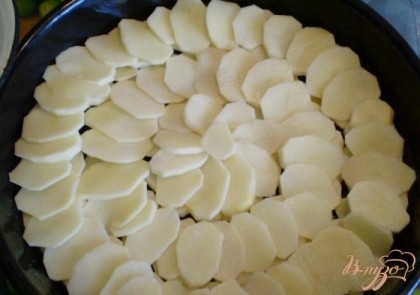 Картофель почистить, нарезать тонкими кружочками. Выложить внахлест. Посолить. Сделать еще один шар картофеля, можно до трех шаров. посолить.