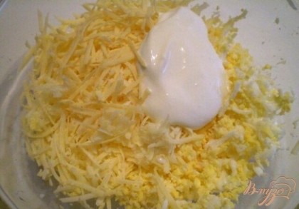 Соединяем в тарелочке тертое на самой мелкой терочке яйцо, сыр твердый, чеснок, соль, сметана. Перемешиваем. Можно перчика молотого добавить, если любите.
