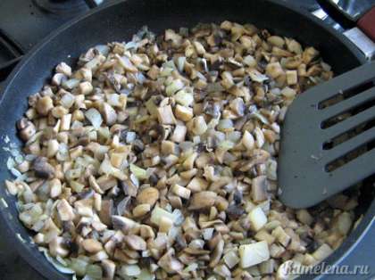 Добавить грибы, перемешать и готовить на среднем огне около 20 минут (или до выкипания жидкости). Посолить, поперчить.