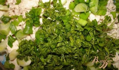 Зелень нарезать мелко. В салатнике соединить капусту, курицу и лук.
