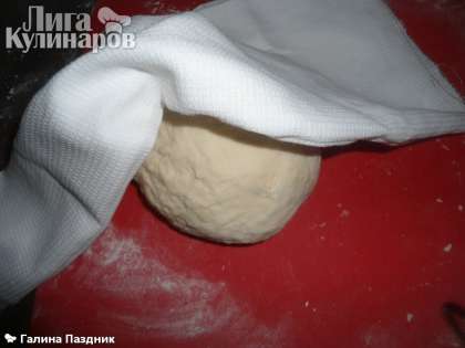 Понемногу добавлять тесто и замешивать лопаточкой, а затем руками. Тесто должно быть крутое, к рукам не липнуть. Накрыть сверху и дать отлежаться минут 30.