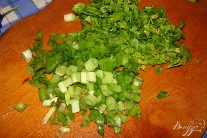 Зелень вымыть. Мелко нарезать.  Вариаций на тему зелень может быть много. Можно добавлять салатные листья, кинзу, базилик двух видов и что-то еще. Я выбрала петрушку и зеленый лук.