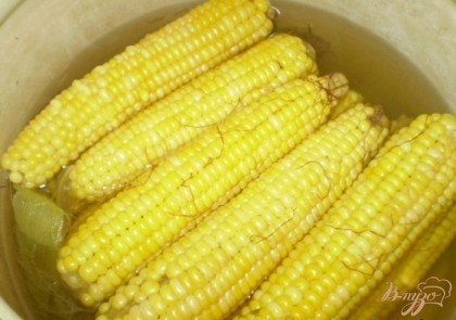 Кукуруза готова. Никогда не соль во время варки кукурузу, лучше всего солить уже готовый продукт.