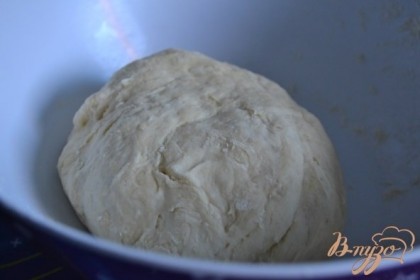 Готовим тесто : Воду с маслом  и щепоткой соли нагреть и всыпать муку. Замесить тесто.