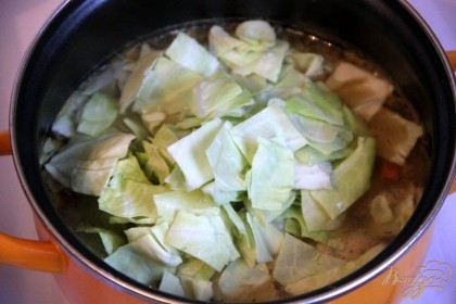 Добавить капусту, нарезанную квадратиками, варить  ещё 5 мин.
