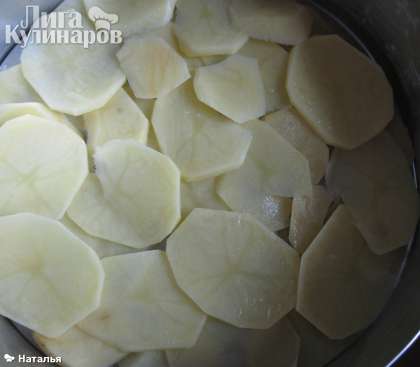 Картофель нарезать кружочками в сковороду, или в форму для запекания. Посолить, поперчить.