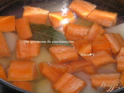 В кастрюльку с толстым дном выложить крупно нарезанный картофель,  добавить морковь, залить горячим бульоном, положить лавровый лист.