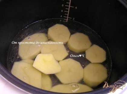 В чашу мультиварки налить литр горячей воды, выложить крупно нарезанный картофель и веточку укропа.