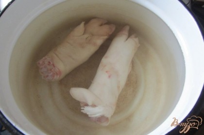 Свиные ножки промыть, положить в подходящею посуду, залить водой. Поставить на плиту. Варим 30 минут.