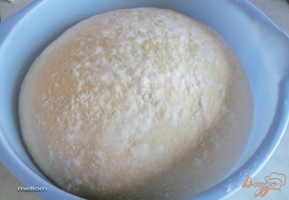 К подошедшей опаре добавить яйца, соль и сметану. Постепенно добавить муку. Тесто должно получиться эластичным и мягким. Поставить в теплое место примерно на 1 час (до увеличения в 2-2.5 раза)