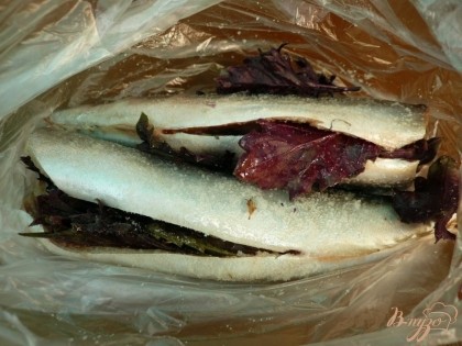 Укладываем скумбрию в пакет, с третьей веточки базилика обрываем листочки и кладем их в пакет на рыбку.