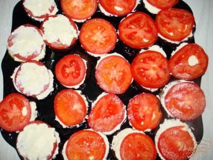 На блюдо выкладываем баклажаны, смазываем их творожным кремом, на них выкладываем кружочки помидоров.