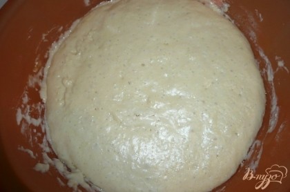 Накрываем миску с тестом крышкой и оставляем в теплом месте на 40-60 минут, чтобы тесто подошло. Когда тесто поднимется - можно выпекать, ни в коем случае тесто нельзя больше перемешивать.
