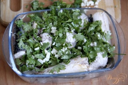 Рыбу выложить в посуду для маринования, пересыпать кинзой с чесноком.