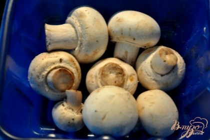 Свежие грибы очистить,промыть и отварить в подсоленной воде до полуготовности,обсушить и крупно нарезать. Мелко нашинковать лук.