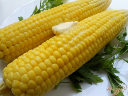 Готовую кукурузу немного остудить, смазать кусочком сливочного масла.