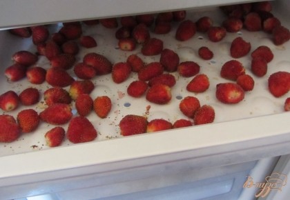 Поместить в морозилку, сам процесс заморозки длиться около часа в зависимости от ягод.