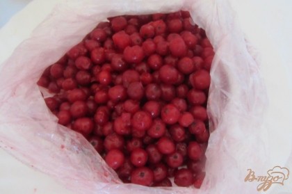 Готовые ягоды собрать в полиэтиленовый кулек, или же в контейнер.