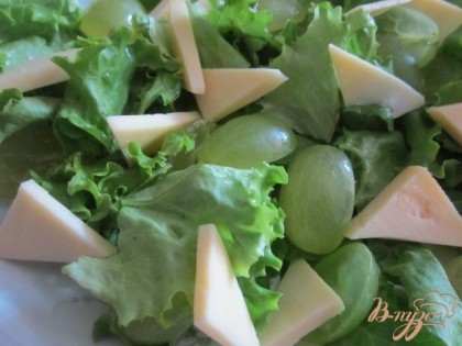 По тарелкам разложить листья зеленого салата (порвать)Добавить половинки виноградин и сыр.
