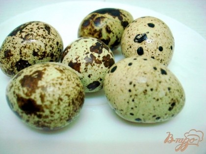 Сварите перепелиные яйца. Варить их нужно так, опускать в кипящую подсоленную воду и варить 5 минут с момента закипания.