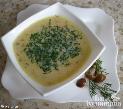 Подать к супу-пюре  гренки с измельченным чесноком, посыпав свежей зеленью  укропа и петрушки. Приятного аппетита!