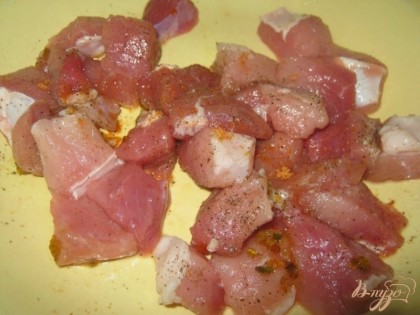 Мясо промыть, очистить от пленок и жилок, порезать на небольшие кусочки, которые посыпать солью и специями по вкусу. Перемешать.