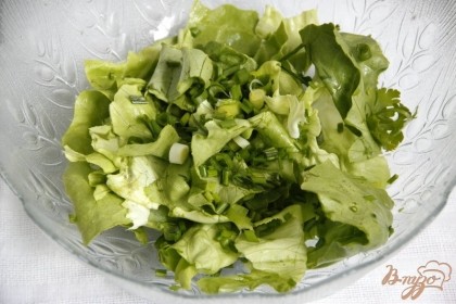 Салатные листья помыть, хорошо просушить от влаги, порвать руками. Выложить половину на дно глубокого салатника