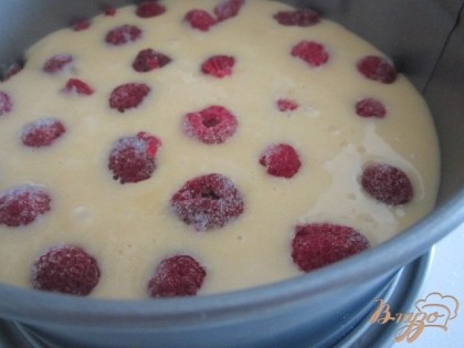На дно разъемной формы вырезать круг из пекарской бумаги, вылить тесто и разложить ягоды малины.Выпекать при 180 гр. до готовности.