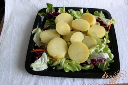Нарезанный на кружочки картофель традиционно выкладывают на листья салата,