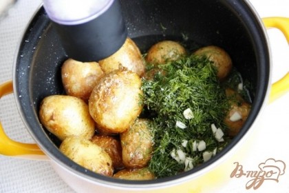 Приправить картофель солевой пудрой (свежемолотая соль) , добавить укроп, чеснок, свежемолотый черный перец. Все очень аккуратно перемешать, накрыть крышкой и датьпостоять ещё минут пять.
