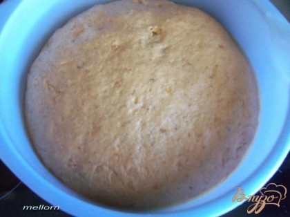Тесто положить в смазанную маслом миску и поставить в теплое место примерно на 1 час.