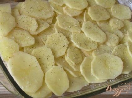 Форму для запекания смазать растительным маслом. Картофель нарезать тонкими кружками, выложить половину в форму. Посолить, поперчить.